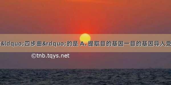 正确表示基因操作&ldquo;四步曲&rdquo;的是 A. 提取目的基因一目的基因导入受体细胞一目的基因