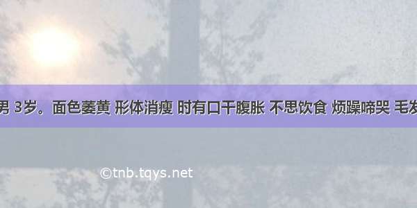 患儿 男 3岁。面色萎黄 形体消瘦 时有口干腹胀 不思饮食 烦躁啼哭 毛发稀疏 