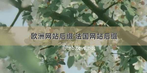 欧洲网站后缀 法国网站后缀