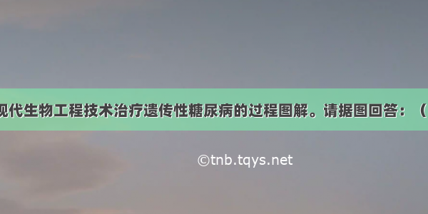 下图是利用现代生物工程技术治疗遗传性糖尿病的过程图解。请据图回答：（1）图中②所