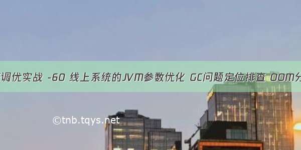 jvm性能调优实战 -60 线上系统的JVM参数优化 GC问题定位排查 OOM分析解决