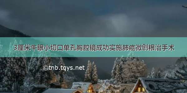 3厘米牛眼小切口单孔胸腔镜成功实施肺癌微创根治手术