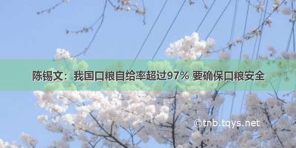 陈锡文：我国口粮自给率超过97% 要确保口粮安全