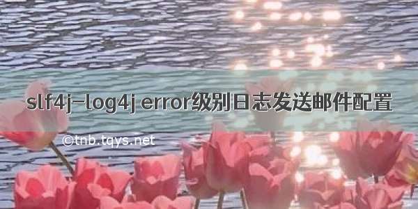 slf4j-log4j error级别日志发送邮件配置