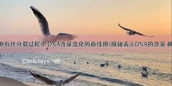 下图表示细胞有丝分裂过程中 DNA含量变化的曲线图(纵轴表示DNA的含量 横轴表示分裂