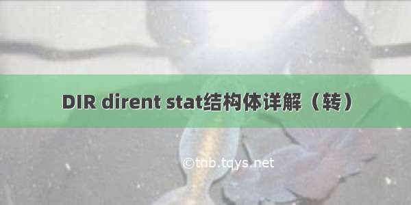 DIR dirent stat结构体详解（转）