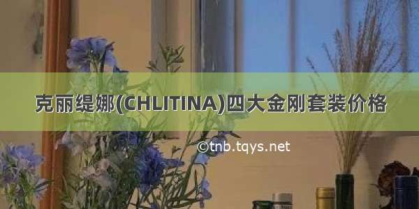 克丽缇娜(CHLITINA)四大金刚套装价格