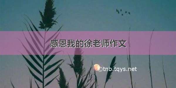 感恩我的徐老师作文