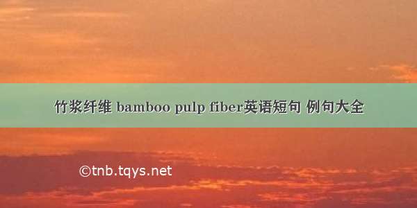 竹浆纤维 bamboo pulp fiber英语短句 例句大全