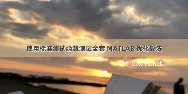 使用标准测试函数测试全套 MATLAB 优化算法