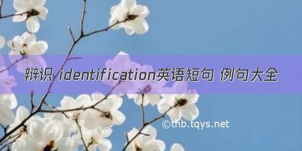 辩识 identification英语短句 例句大全