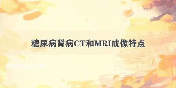 糖尿病肾病CT和MRI成像特点