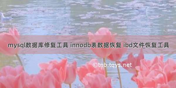 mysql数据库修复工具 innodb表数据恢复 ibd文件恢复工具