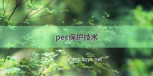 pec保护技术