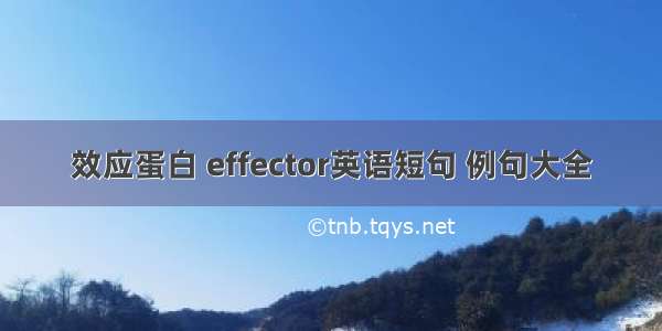 效应蛋白 effector英语短句 例句大全