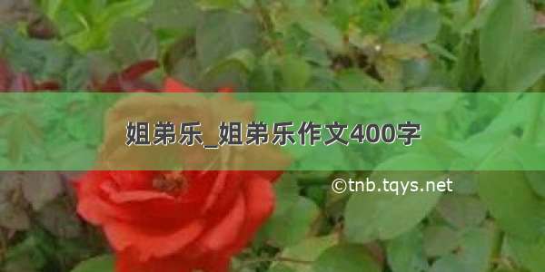 姐弟乐_姐弟乐作文400字