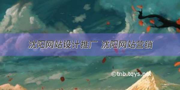 沈阳网站设计推广 沈阳网站营销