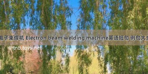 电子束焊机 Electron beam welding machine英语短句 例句大全