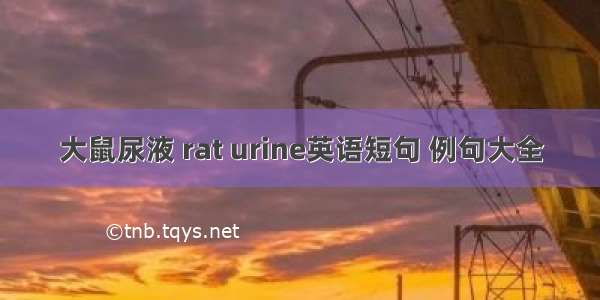 大鼠尿液 rat urine英语短句 例句大全