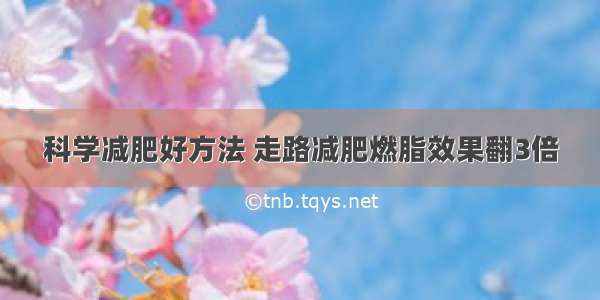 科学减肥好方法 走路减肥燃脂效果翻3倍