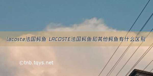 lacoste法国鳄鱼 LACOSTE法国鳄鱼和其他鳄鱼有什么区别