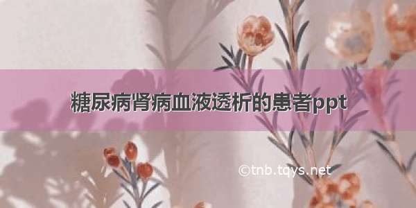 糖尿病肾病血液透析的患者ppt