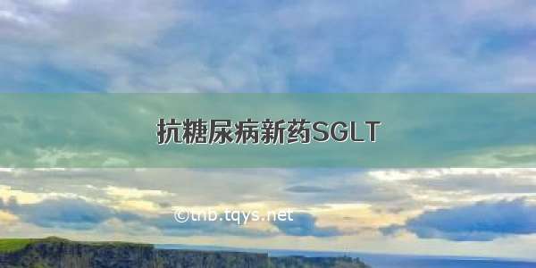 抗糖尿病新药SGLT