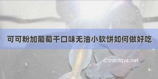 可可粉加葡萄干口味无油小软饼如何做好吃