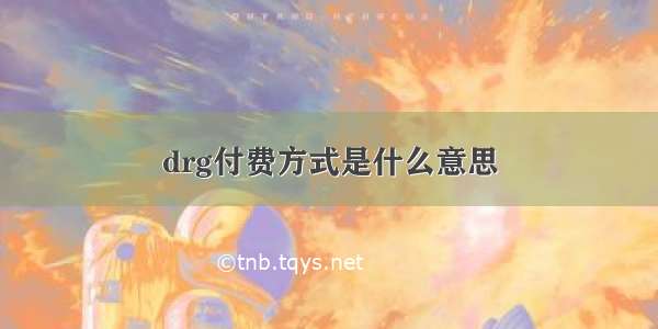 drg付费方式是什么意思