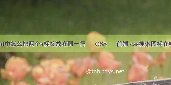 html中怎么把两个a标签放在同一行 – CSS – 前端 css搜索图标在哪找