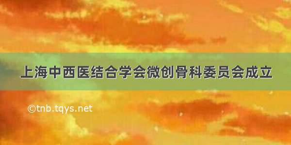 上海中西医结合学会微创骨科委员会成立