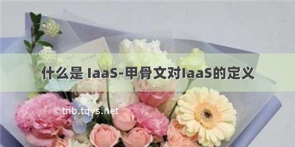 什么是 IaaS-甲骨文对IaaS的定义