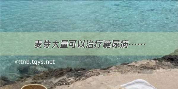 麦芽大量可以治疗糖尿病……