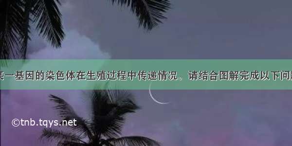 下图为携带某一基因的染色体在生殖过程中传递情况。请结合图解完成以下问题：请将精子