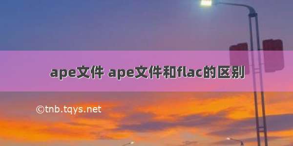 ape文件 ape文件和flac的区别