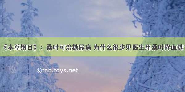 《本草纲目》：桑叶可治糖尿病 为什么很少见医生用桑叶降血糖？