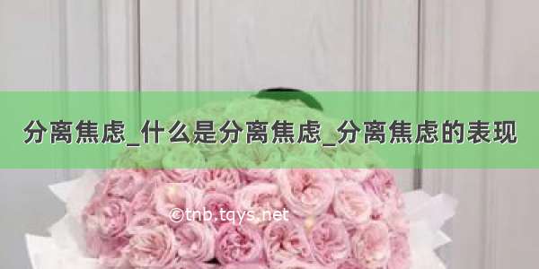 分离焦虑_什么是分离焦虑_分离焦虑的表现