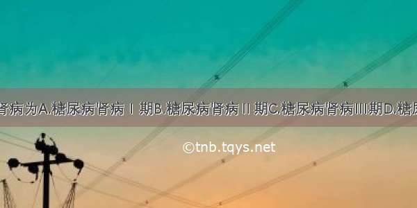 临床糖尿病肾病为A.糖尿病肾病Ⅰ期B.糖尿病肾病Ⅱ期C.糖尿病肾病Ⅲ期D.糖尿病肾病Ⅳ期