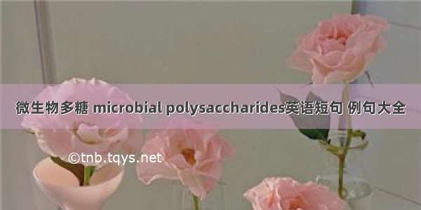 微生物多糖 microbial polysaccharides英语短句 例句大全