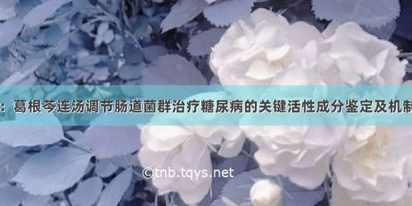 GPB：葛根芩连汤调节肠道菌群治疗糖尿病的关键活性成分鉴定及机制研究