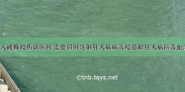 （10分）某人被狗咬伤就医时 需要同时注射狂犬病病毒疫苗和狂犬病抗毒血清。请回答下