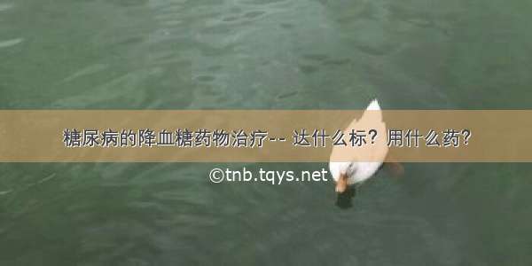 糖尿病的降血糖药物治疗-- 达什么标？用什么药？