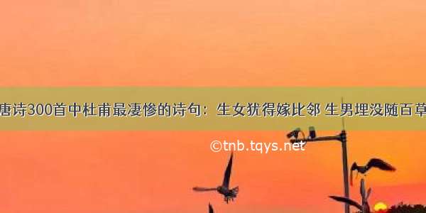 唐诗300首中杜甫最凄惨的诗句：生女犹得嫁比邻 生男埋没随百草