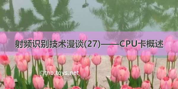 射频识别技术漫谈(27)——CPU卡概述