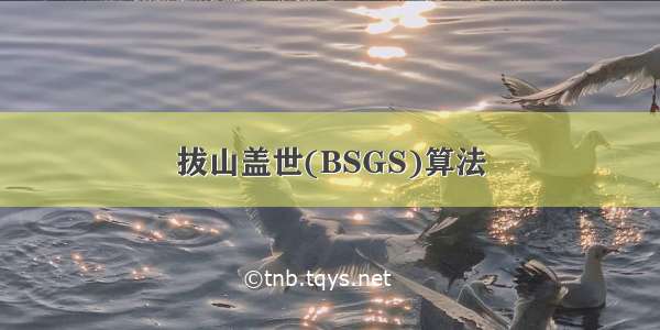 拔山盖世(BSGS)算法