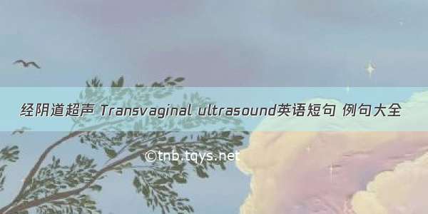 经阴道超声 Transvaginal ultrasound英语短句 例句大全