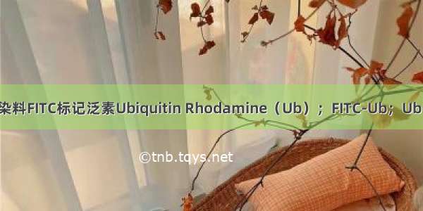 荧光染料FITC标记泛素Ubiquitin Rhodamine（Ub）；FITC-Ub；Ub-FITC