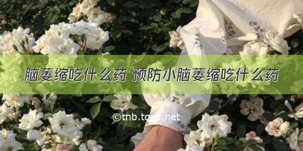 脑萎缩吃什么药 预防小脑萎缩吃什么药