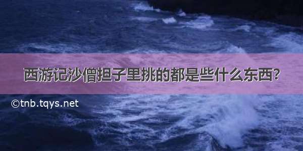 西游记沙僧担子里挑的都是些什么东西？