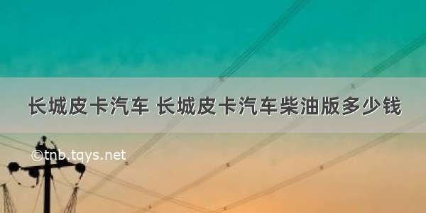 长城皮卡汽车 长城皮卡汽车柴油版多少钱